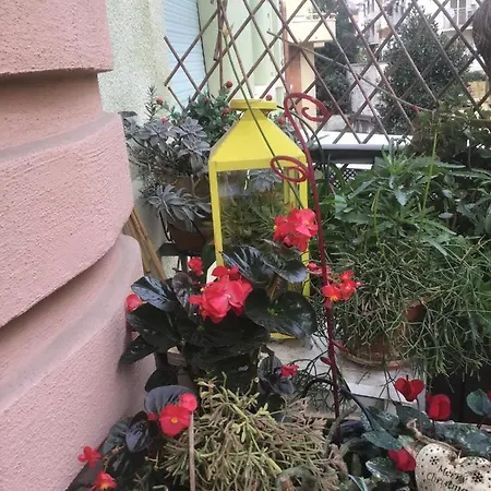 Guest house Residenza Il Magnifico Rome