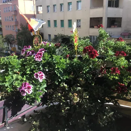 Residenza Il Magnifico 招待所 罗马